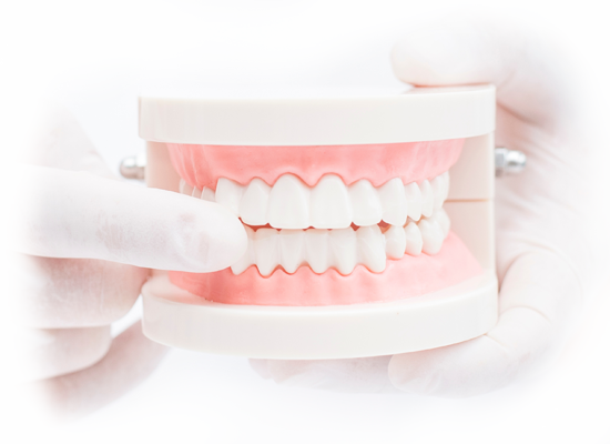 医科歯科連携のもと全身の健康管理が可能